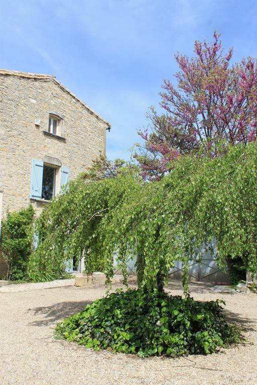 Saint-Gervasy La Rose Bed & Breakfast エクステリア 写真