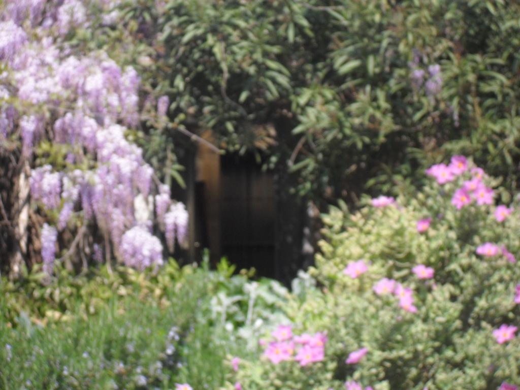 Saint-Gervasy La Rose Bed & Breakfast エクステリア 写真