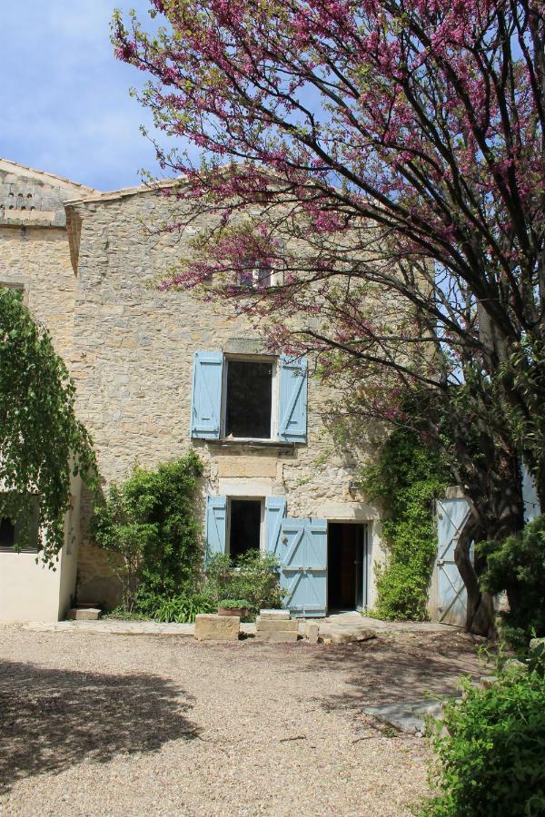 Saint-Gervasy La Rose Bed & Breakfast エクステリア 写真